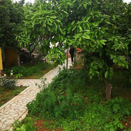 Apartment Dalmatini Tar-Vabriga Ngoại thất bức ảnh